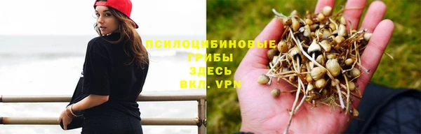 прущий лед Нея