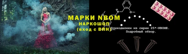 прущий лед Нея