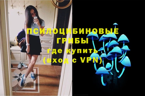 PSILOCYBIN Анжеро-Судженск