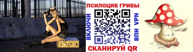hydra зеркало Берёзовка Псилоцибиновые грибы MAGIC MUSHROOMS цены